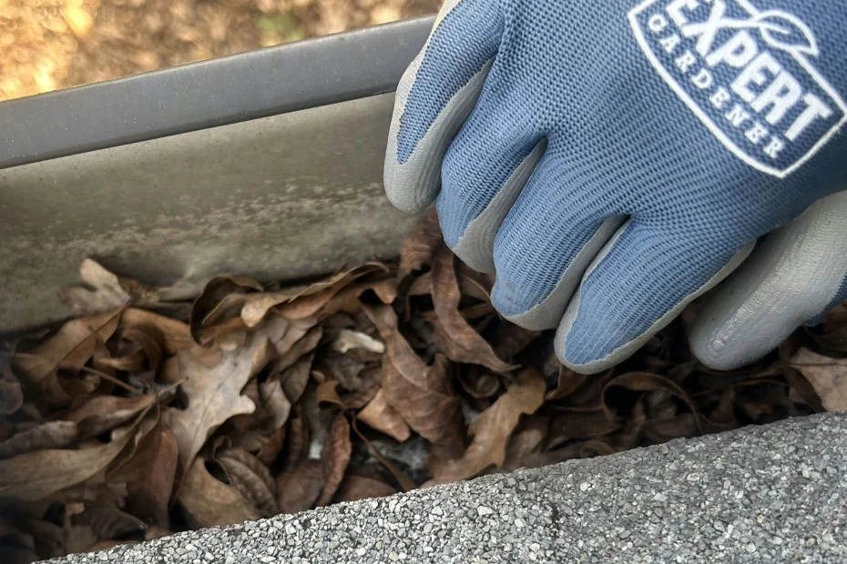 Gutter Cleaning Lee's Summit, MO